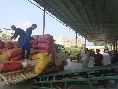 县发改局强化夏粮收购监管与服务，筑牢粮食市场秩序与安全保障