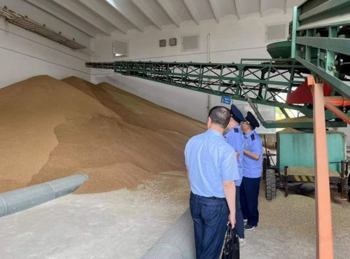 违规收购粮食被罚10万元，南京公布一批典型案例加强粮食市场管理