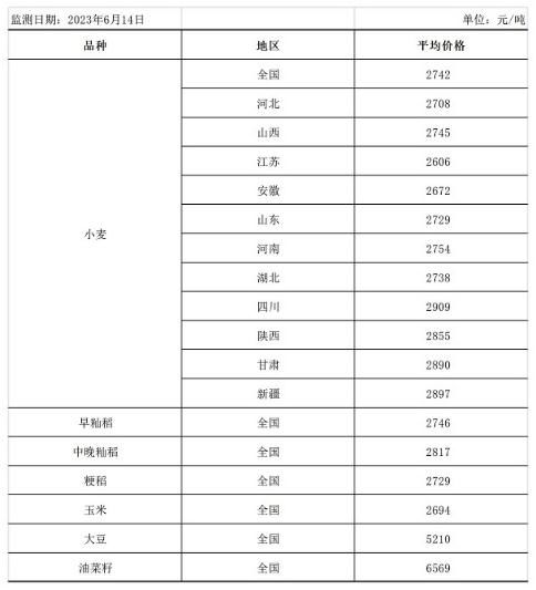 粮食市场迎来新发展趋势，中方呼吁完善全球粮农治理体系