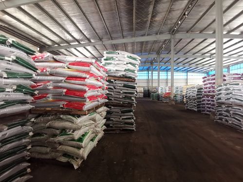 农资准备充分不误春耕生产——市供销社加大服务力度保障粮食市场稳定